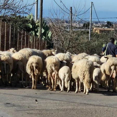 Alojamento de Acomodação e Pequeno-almoço Ta' Marie Chiaramonte Gulfi