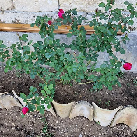 Ta' Marie Chiaramonte Gulfi