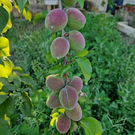 Ta' Marie * Chiaramonte Gulfi